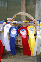 IPRZW Vereinsturnier